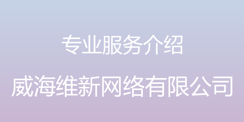 专业服务介绍 - 威海维新网络有限公司