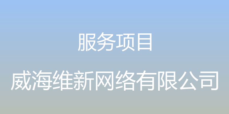 服务项目 - 威海维新网络有限公司