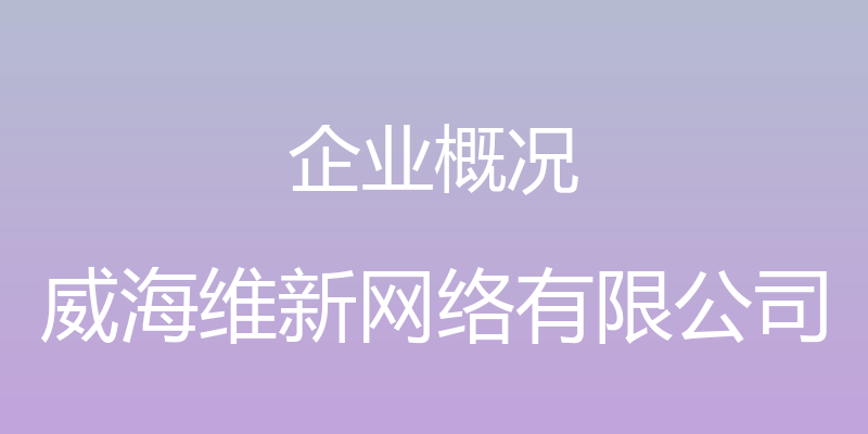 企业概况 - 威海维新网络有限公司